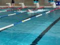 IMG-20220212-WA0047