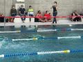 IMG-20220212-WA0049