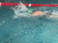 IMG-20220212-WA0054