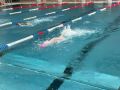 IMG-20220212-WA0059
