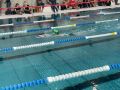 IMG-20220212-WA0078