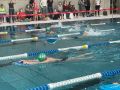 IMG-20220212-WA0081