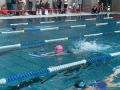 IMG-20220212-WA0083