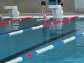 IMG-20220212-WA0087