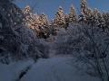 WhatsApp-Image-2024-01-20-at-11.20.45-3